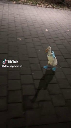 Denisa na TikTok