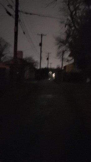 Aesthetic Nature Night Walk Experience