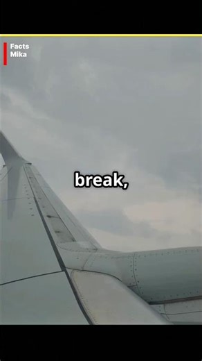 How Plane Wings Flex 25 Feet Without Snapping! #facts #wings #shorts