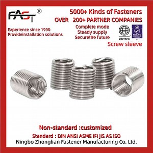 [Hot Item] Stainless Steel SS304 SS316 All Size Wing Nut