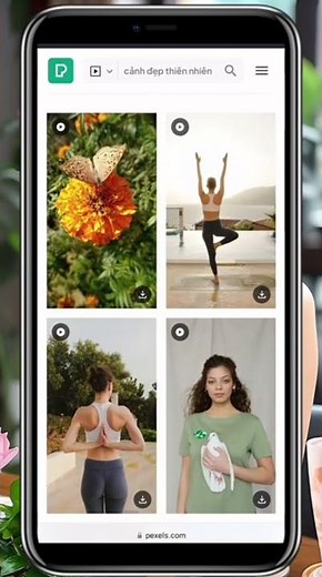 Kho Video & Hình Ảnh HD 4K Miễn Phí 🔥 Không Bản Quyền Dùng Thoải Mái #smartphone