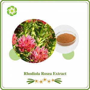 [Hot Item] World Well-Being Salidroside 1% 10% Rhodiola 3% Rhodiola Rosea Extract Rhodiola Rosea Powder