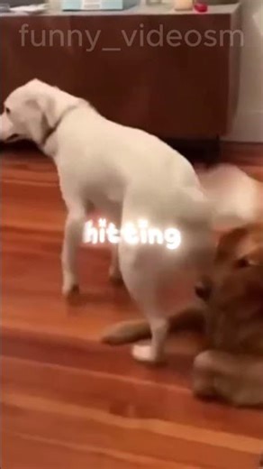 Were YOU ever SCARED of the SOUNDS WOLVES MAKE???