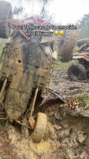 Cuentas recomendadas