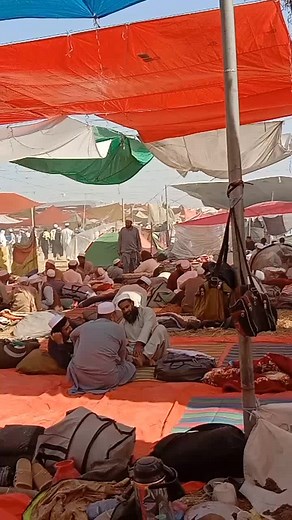 #tektak #tableegheislam #cricket #virl_video