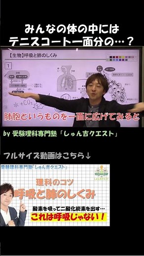 【理科のコツ「呼吸と肺のしくみ」】肺とエネルギーの関係を徹底解説【受験理科専門塾しゅん吉クエスト】