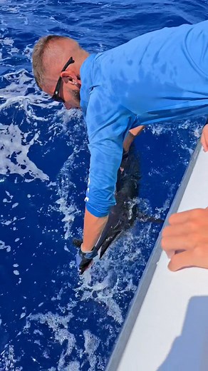 10K views · 113 reactions | Some awesome sailfish action aboard Wet Tails Charters! 酪 #florida #floridakeys #fishing #billfish #fishingbooker | FishingBooker | Facebook