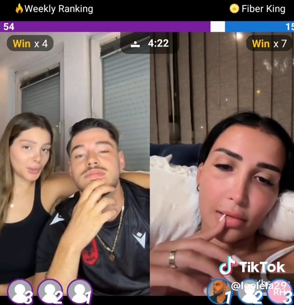 Exploring the Biography of Leonardo Gashi