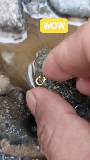 Metal Detector Found Lock Gold Pendant #BestGoldDetector #treasure好きな人と繋がりたい #bestpinpointdetector #metaldetector #gold | GO finder