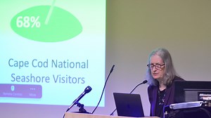 Can humans, sharks and seals coexist on the Cape? These folks say yes.