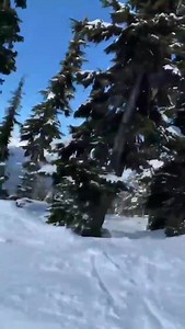 6.2K views · 712 reactions | Caity Lotz on Reels | Facebook