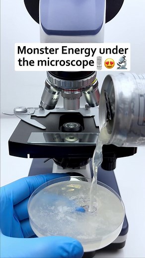 188K views · 766 reactions | Did you know what it is looks like when it's magnified 400 times? #undermicroscope #microscope #fyp #reelsviralシ #reelsvideo | Micromagic6 | Facebook