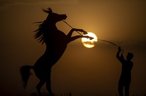 ‘We're Everywhere’: Meeting the Zoophiles Next Door