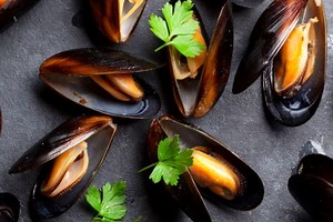 Which months can eat mussels? [2025] | QAQooking.wiki