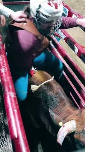 Funny bull fails compilation Watch this bull's hilarious trip! #wildlifeentertainment