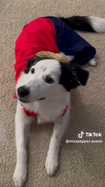 Luffy Halloween Costume: Twinning with Elmo Productions