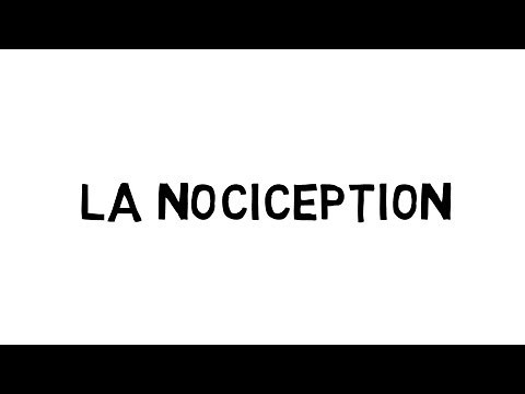La nociception- DES'ORDRES DDS 2018 - exposition numérique