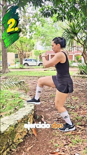 Resistance exercises at home or at the park