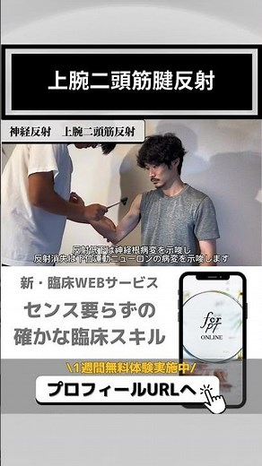 上腕二頭筋腱反射