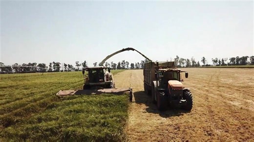 1.3K views · 11 reactions |  Barley silage season is in full swing in southern QLD! A brand-new JCB Fastrac 8330 iCON feeding chopped barley silage for two hungry JCB 435S loaders.  Doesn’t get much better than that. Big thanks to Priebbenow Silage Contractors for capturing the action! #JCB #Fastrac8330 #435S #SilageSeason #Agriculture | JCB CEA | Facebook