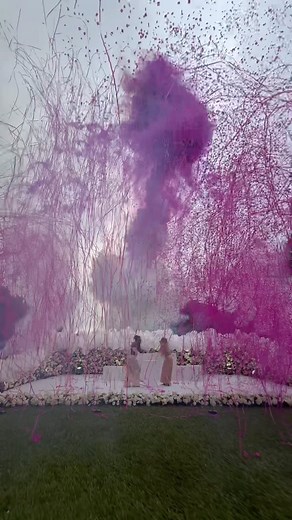 LUDMILLA on Instagram: "It’s a Girl 🩷"