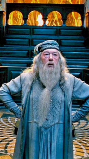 Harry Potter⚡⃝⃒⃤ ⚯͛ ❾¾ on Instagram: "Poxa hein, Cornélio!!b😂😂😂 Seguir as aranhas? Não! Seguir as borboletas? Também não! Sigam @umapotterhead934 😍 Crédito no vídeo! #harrypotter #potterhead #dumbledore #hogwarts #ordemdafênix"