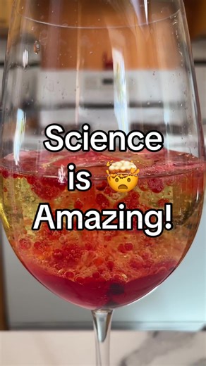 Science is Amazing 🤯 Check out this beautiful chemical reaction with simple home ingredients. Fun for kids and the whole family! #kidsactivities #experiment #parenting #satisfyingvideo #parenthack #scienceismagic #sciencefair