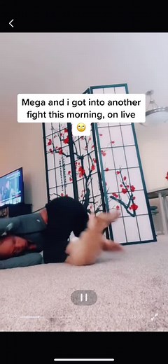 This is our 3rd time fighting on live 🙄😑🤣 COME GET YALL’S TIK TOK NEPHEW. #fypシ #foryou #mega #catmom #catsoftiktok #sonshine #onlive