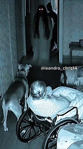 😳😳 Voici pourquoi avoir un chien est important #chien #horreur #chienheureux | Phantom Arc