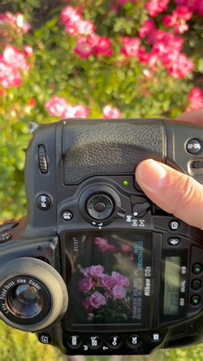 nikon d3s nikkor 50mm f1.4