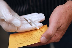 UCLA’s Bird Genoscape Project to aid conservation efforts for North American birds threatened by climate change