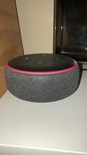 Echo Dot 3rd Gen and Echo Flex is not connected to the internet