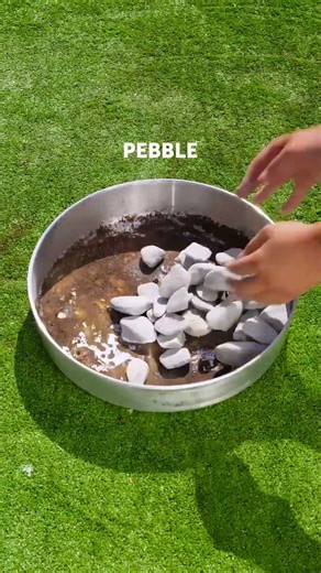 Transform Your Yard into a Paradise with These Fun Ideas!