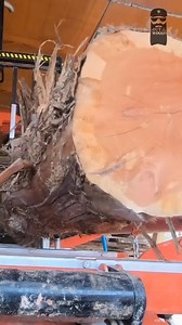 How LUMBER is Made #Sawmill #HomemadeLumber #MakingLumber #MillingLumber | Out of the Woods Forestry