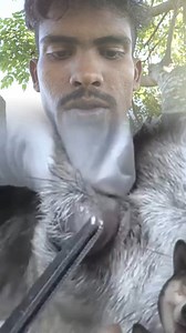 98K views · 396 reactions | Dog’s Eye Infested With Worms — Watch the Vet’s Incredible Treatment | Ikbal Pet's Gallery | Facebook