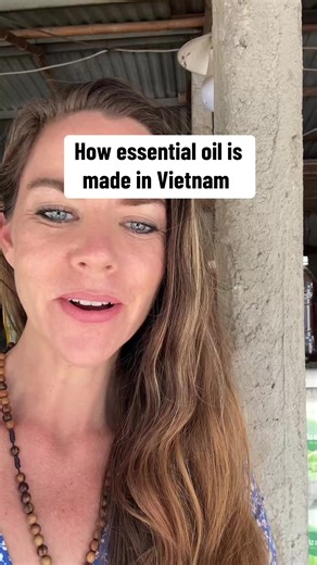 How Eucalyptus Oil is Made in Vietnam
