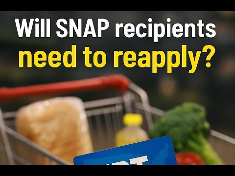 Will SNAP recipients need to reapply? | US Briefing Daily
