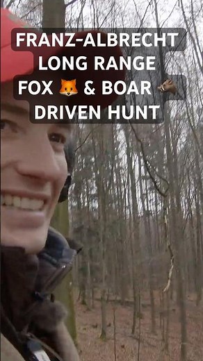 Long Range Wild boar & Fox during driven hunt