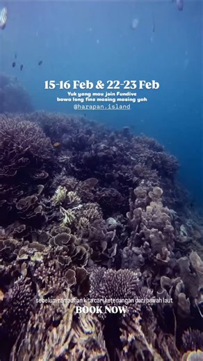 TRAVEL PULAU HARAPAN ● TRIP PULAU SERIBU | Halo teman teman Freedive, Kabar gembira untuk kalian. WE OPENTRIP FUN FREEDIVE , Catat tanggalnya Kita cari ketenangan bawah laut sebelum... | Instagram