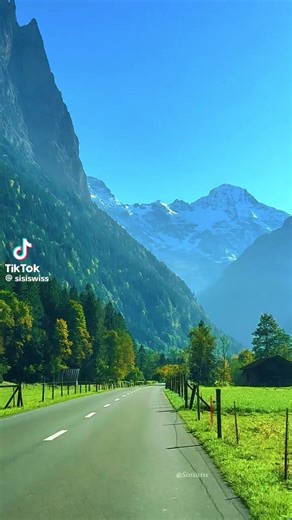 Sunflowers (@wsg.hi7)’s videos with original sound - Sunflowers