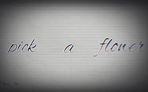 [MEME]pick a flower