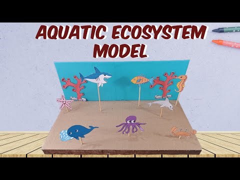 HOW TO MAKE AN AQUATIC ECOSYSTEM MODEL
