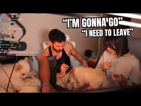 Nabi CHOSE To Sit in Tarik's LAP and Miyoung CANNOT BELIEVE IT + Plays Valorant Together