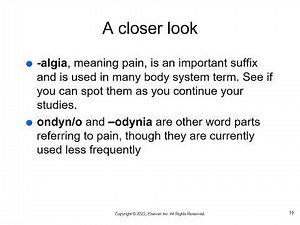 Medical Terminology: Ch. 8 Female Reproductive System
