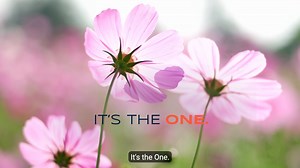 With a Long & Foster agent acting as your real estate concierge, everything from Mortgage, Inspection and Title, to Insurance, Moving and Property Management will be taken care of, giving you peace of mind that you’re covered every step of the way. It’s one company, one team with one goal — making your dream home a reality. https://www.longandfoster.com/ #longandfoster #itstheone #dreamteam #allinclusive #streamlined #seamless #sophisticated #realestate | Long & Foster Real Estate