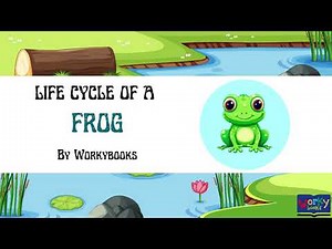 The Adventure Life Cycle of Frog | Learning Video for Kids