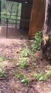 184K views · 14K reactions | THIS IS WHY WE DO...WHAT WE DO. This is...