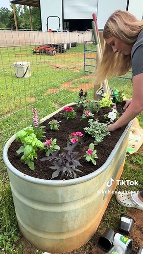 Repurposed Water Trough Raised Garden Bed