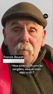 Une battue pour faire face à la prolifération des sangliers
