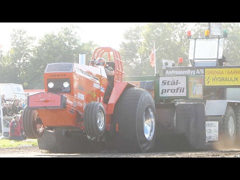 Limited Super Stock at Kimbrer Pulling Aars | Great Tractor Pulling Action at the DM Finals